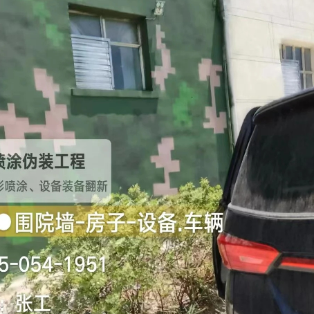 孝感数码迷彩漆施工